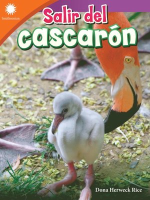 cover image of Salir del cascarón